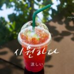 韓国語で「涼しい」とは?【시원하다】意味を勉強しよう!
