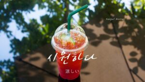 韓国語で「涼しい」とは？【시원하다】意味を勉強しよう！