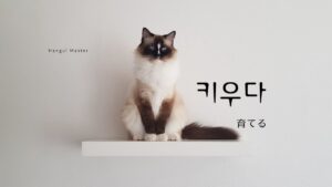 韓国語で「育てる」とは？【키우다】意味を勉強しよう！