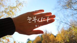 韓国語で「眩しい」とは?【눈부시다】意味を勉強しよう!