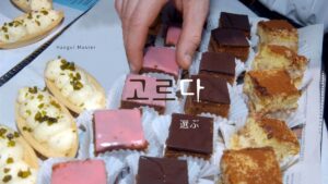 韓国語で「選ぶ」とは？【고르다】意味を勉強しよう！