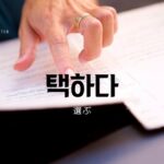 韓国語で「選ぶ」とは?【택하다】意味を勉強しよう!