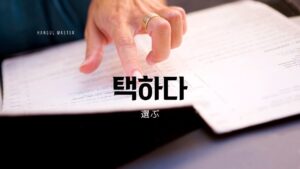 韓国語で「選ぶ」とは?【택하다】意味を勉強しよう!