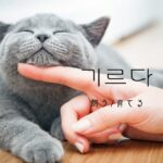 韓国語で「飼う/育てる」とは?【기르다】意味を勉強しよう!