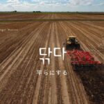 韓国語で「(道を)ならす」とは？【닦다】意味を勉強しよう！