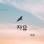 韓国語で「自由」とは?【자유】意味を勉強しよう!