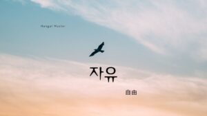 韓国語で「自由」とは?【자유】意味を勉強しよう!