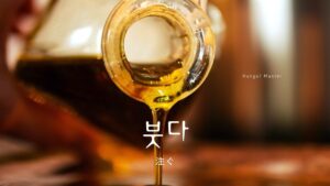 韓国語で「注ぐ」とは?【붓다】意味を勉強しよう!