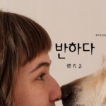 韓国語で「惚れる」とは?【반하다】意味を勉強しよう!