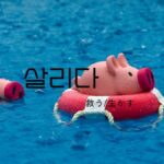 韓国語で「救う(生かす)」とは?【살리다】意味を勉強しよう!