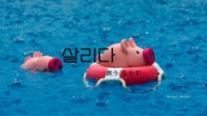 韓国語で「救う(生かす)」とは？【살리다】意味を勉強しよう！