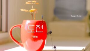 韓国語で「挑戦」とは?【도전】意味を勉強しよう!