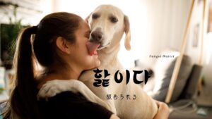 韓国語で「舐められる」とは？【핥이다】意味を勉強しよう！