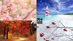 韓国語で「季節」とは？【계절】意味を勉強しよう！