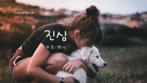 韓国語で「本気/真心」とは?【진심】意味を勉強しよう!