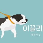 韓国語で「導かれる」とは？【이끌리다】意味を勉強しよう！