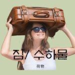 韓国語で「荷物」とは？【짐/ 수하물】活用しよう！