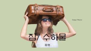 韓国語で「荷物」とは?【짐/ 수하물】活用しよう!
