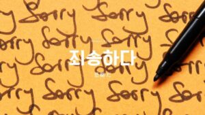 韓国語で「恐縮」とは?【죄송】意味を勉強しよう!