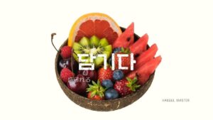 韓国語「(器に)盛られる」とは?【담기다】意味を勉強しよう!