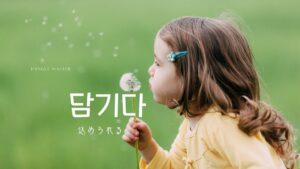 韓国語「(情が)込められる」とは?【담기다】意味を勉強しよう!