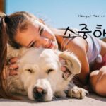 韓国語で「大切だ」とは?【소중하다】意味を勉強しよう!