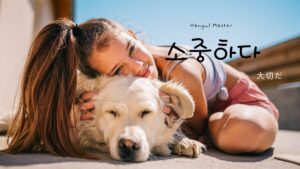 韓国語で「大切だ」とは?【소중하다】意味を勉強しよう!