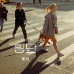 韓国語で「横断」とは？【횡단】意味を勉強しよう！