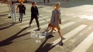 韓国語で「横断」とは？【횡단】意味を勉強しよう！