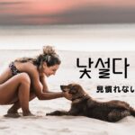 韓国語で「見慣れない」とは?【낯설다】意味を勉強しよう!