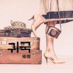 韓国語で「帰国」とは?【귀국】意味を勉強しよう!