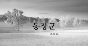 韓国語で「冬将軍」とは？【동장군】意味を勉強しよう！