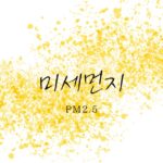 韓国語で「PM2.5」とは？【미세먼지】意味を勉強しよう！