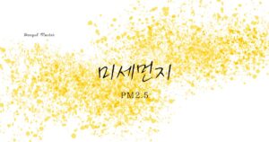 韓国語で「PM2.5」とは?【미세먼지】意味を勉強しよう!
