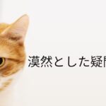 韓国語「かもしれない」-(으)ㄹ지도 모르다 漠然とした疑問