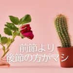 韓国語で「~するより」とは?-(으)ㄹ 바에 意味と活用