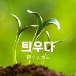 韓国語で「芽ぐませる」とは？【틔우다】意味を勉強しよう！
