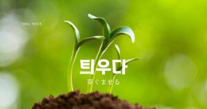 韓国語で「芽ぐませる」とは？【틔우다】意味を勉強しよう！