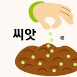 韓国語で「種」とは?【씨앗】意味を勉強しよう!
