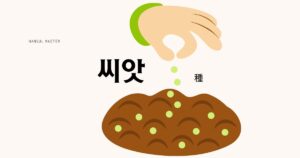 韓国語で「種」とは？【씨앗】意味を勉強しよう！