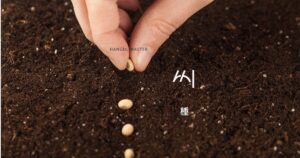 韓国語で「種/さね」とは？【씨】意味を勉強しよう！