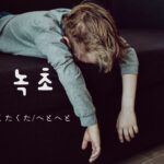 韓国語で「くたくた/へとへと=녹초」意味と活用方法