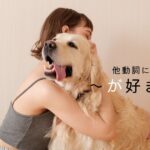 韓国語「～が好きです」-을(를) 좋아하다 他動詞につく助詞