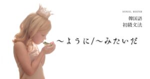 韓国語の表現「～ように/～みたいだ」-같이/같다