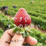 韓国語で「~しやすい①」「~するのに良い」とは?-기 좋다