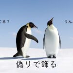 韓国語で「~ふりをする」とは?-(으)ㄴ/는 척하다
