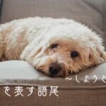 韓国語で「~しようとすると」とは?-(으)려니까