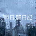 【Day 16】雨が続くよどこまでも｜100日韓日記