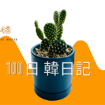 【Day 43】金烏帽子（キンエボシ）｜100日韓日記