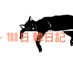 【Day 47】仮眠は無敵｜100日韓日記